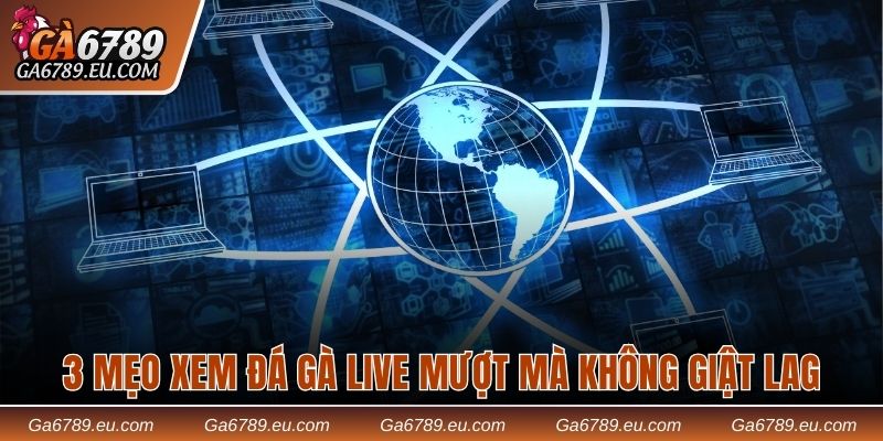 3 cách xem đá gà live mượt mà không giật lag