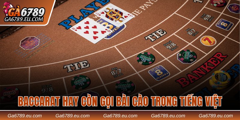 Baccarat hay còn gọi bài Cào trong tiếng Việt