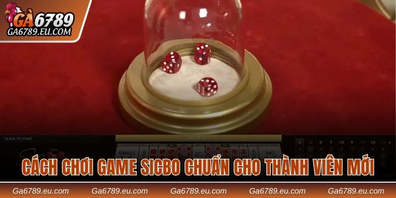 Cách chơi game Sicbo chuẩn cho thành viên mớ