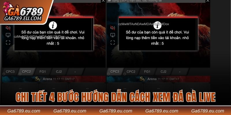 Chi tiết 4 bước hướng dẫn cách xem đá gà live