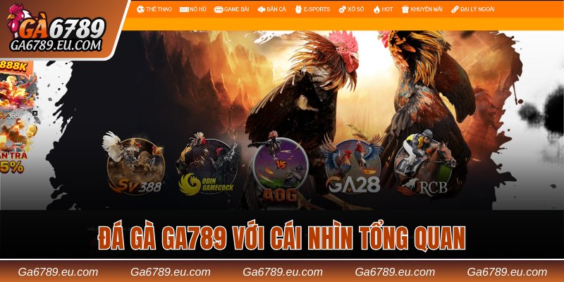 Đá gà Ga789 với cái nhìn tổng quan