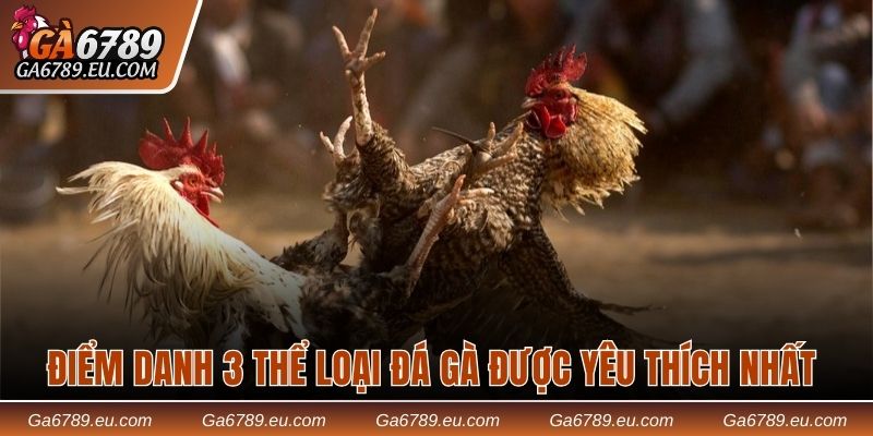 Điểm danh 3 thể loại đá gà được yêu thích nhất