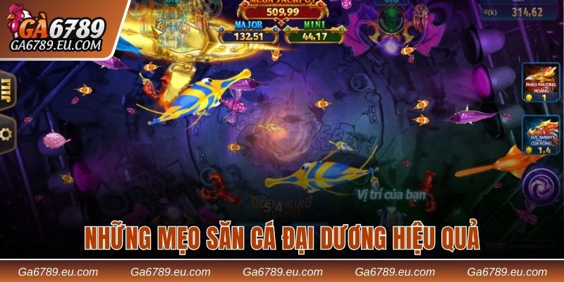 Mách bạn 3 mẹo săn sinh vật biển hiệu quả nhất từ chuyên gia 