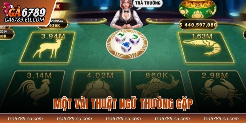 Một vài thuật ngữ thường gặp