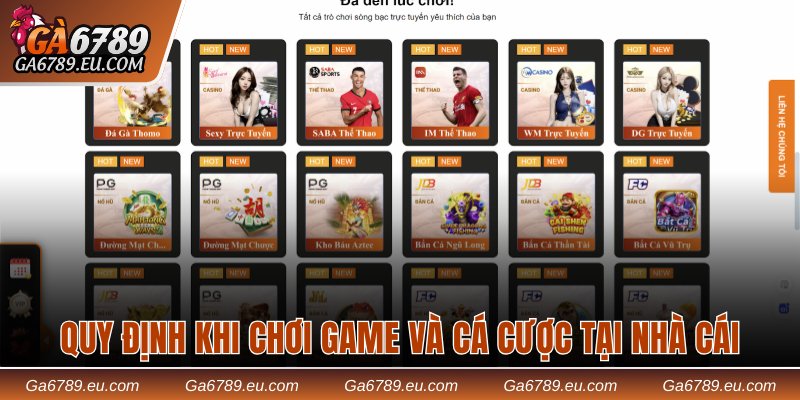 Quy định khi chơi game và cá cược tại nhà cái