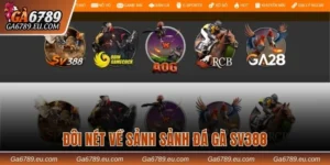 Sảnh đá gà SV388