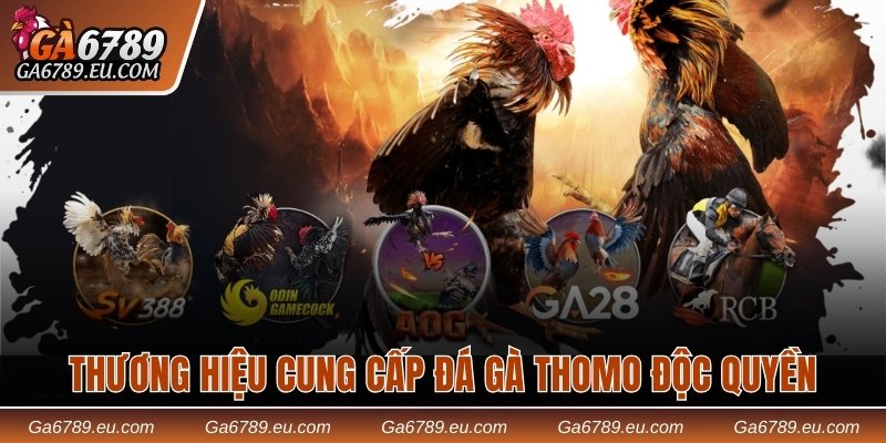 thuong-hieu-cung-cap-da-ga-thomo-doc-quyen